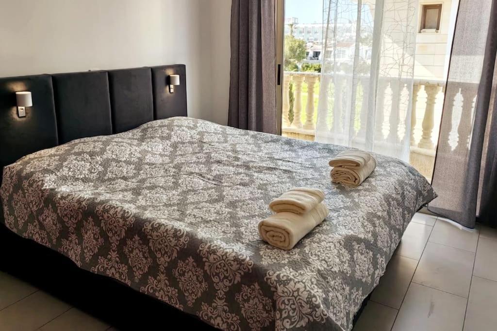 Apartment Teo