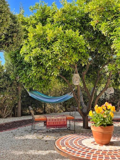 Teo Apartment Paphos