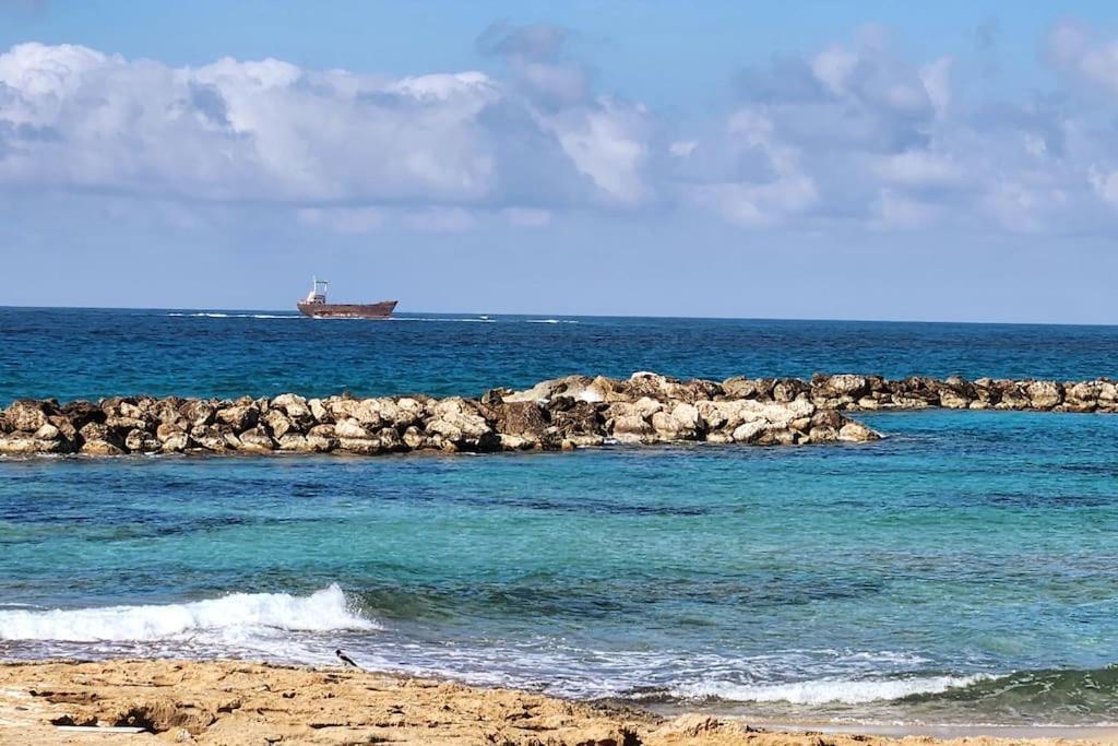 Teo Pafos